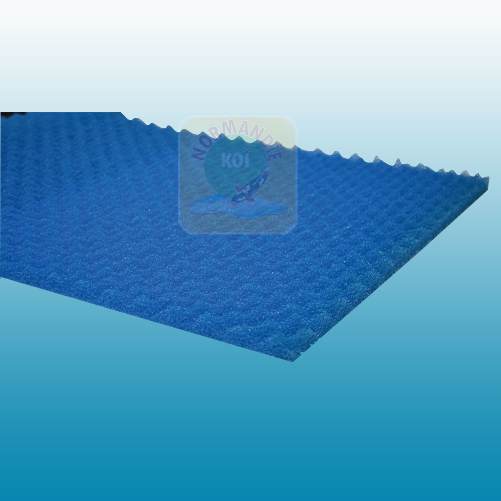Mousse bleue 100x50, 2cm d'épaisseur