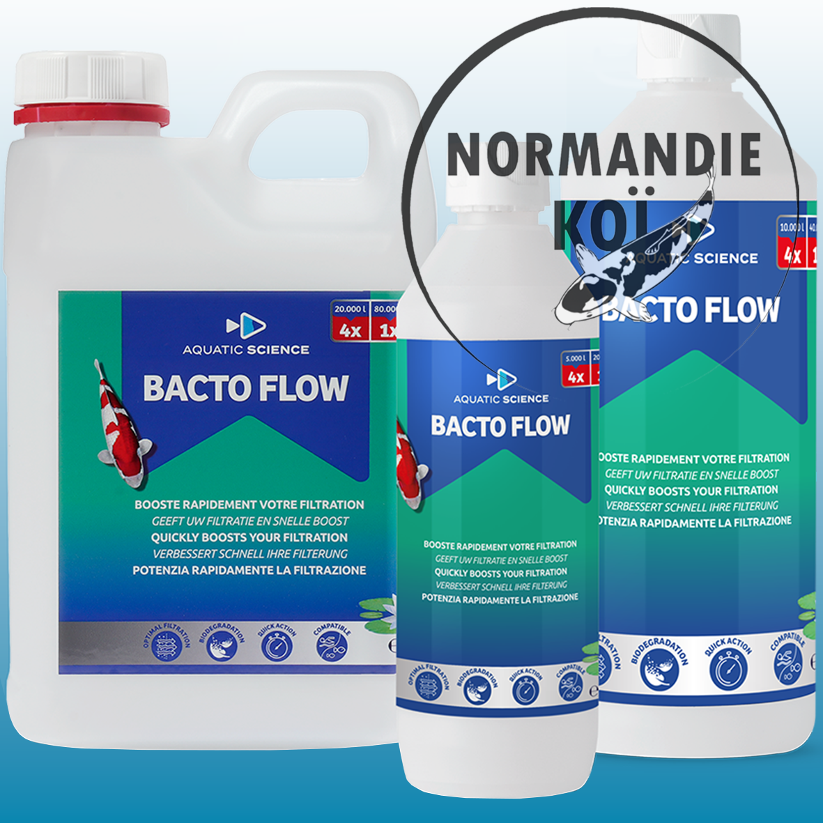 Bacto Flow – Bactéries nitrifiantes pour filtration bassin