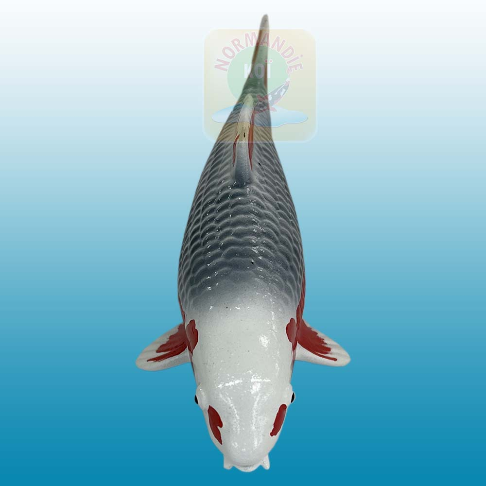 Carpe koï en résine (15 cm)
