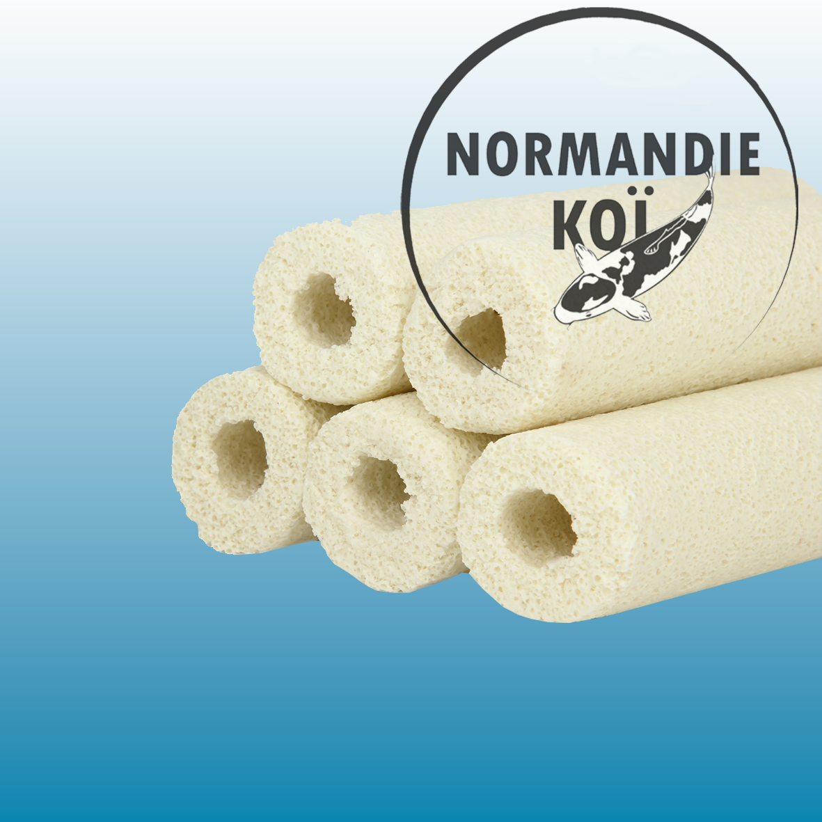 Aquatic Science Biocera Home