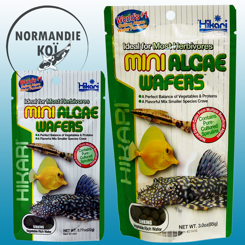 Hikari Mini Algae Wafers