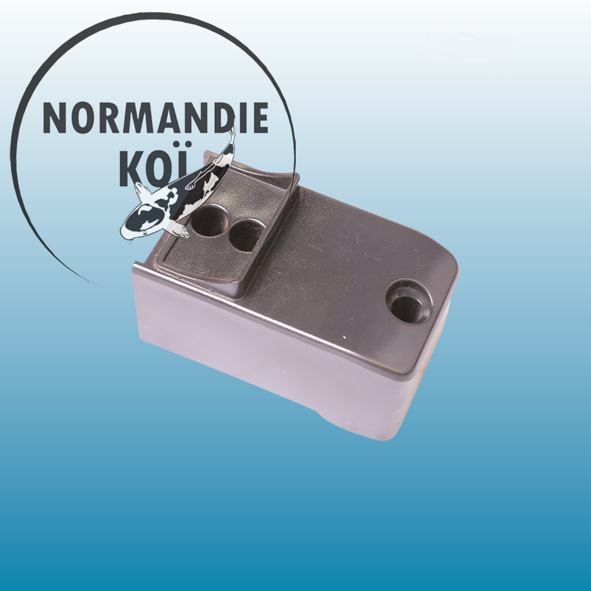 Oase Bitron C 110 W