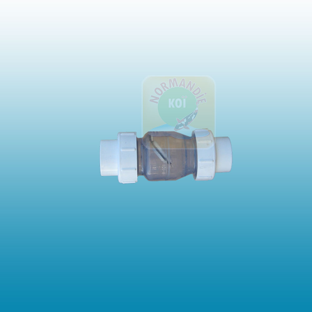 Clapet anti-retour transparent