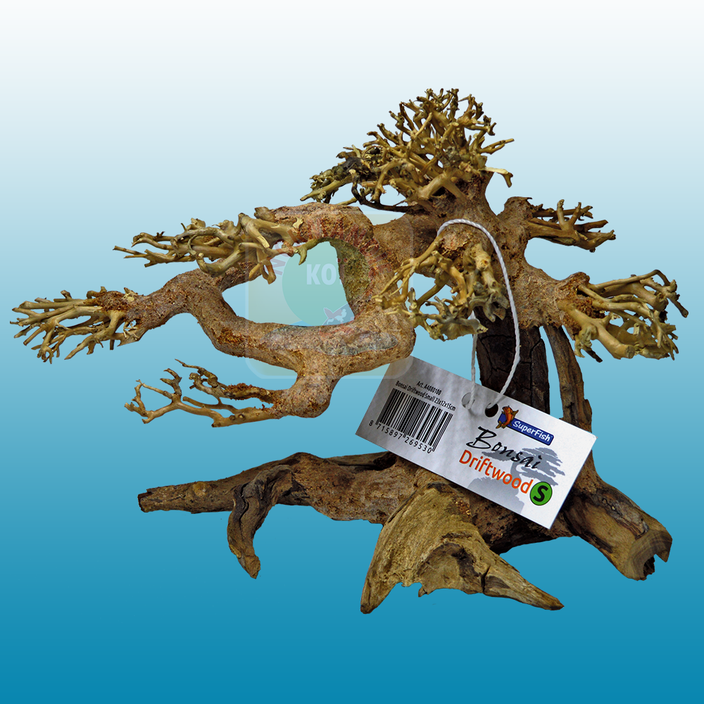 Bonsai Drift Wood