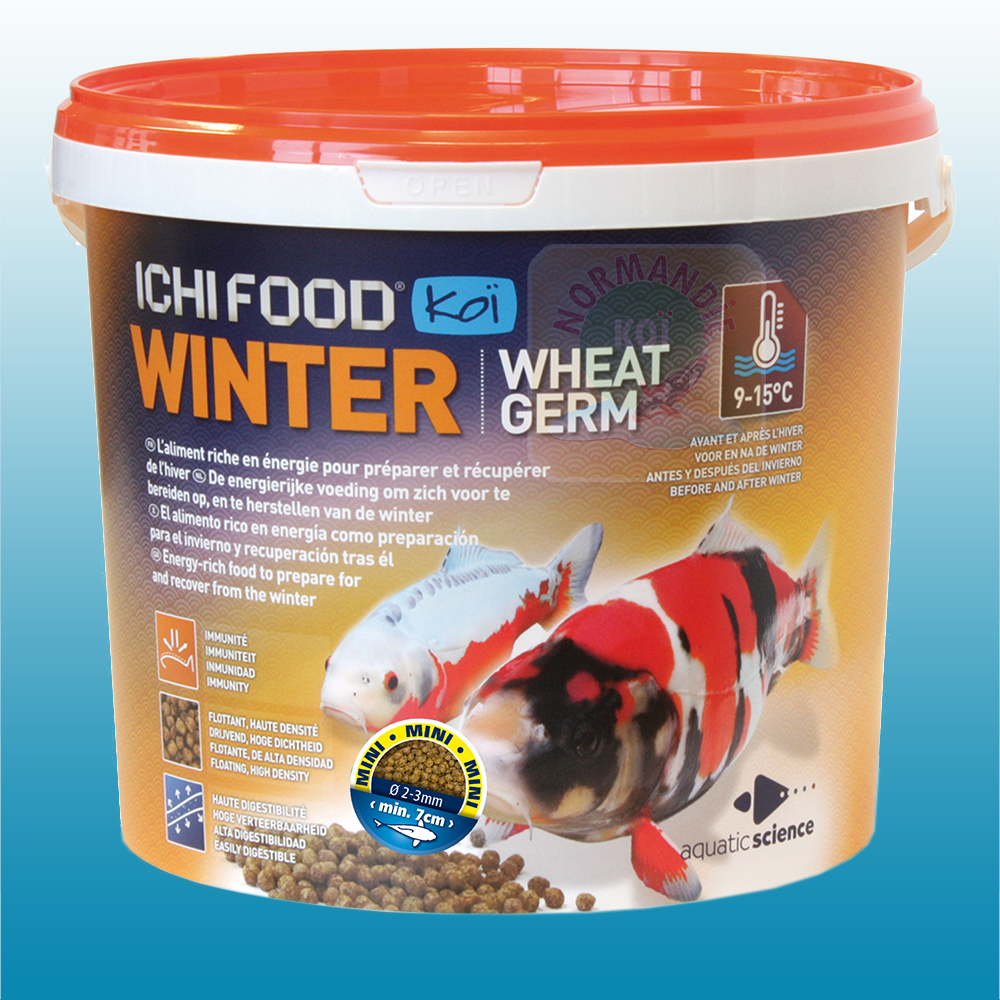 Ichi Food Winter 100% coulant !!! (dans la limite des stocks disponibles)