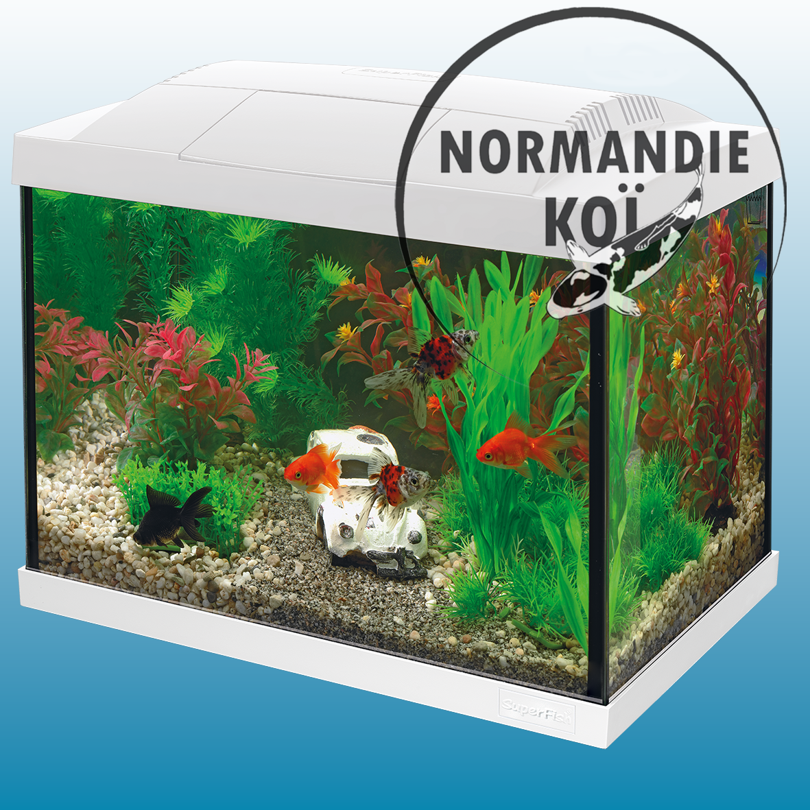 Start 20 Aquarium Kit