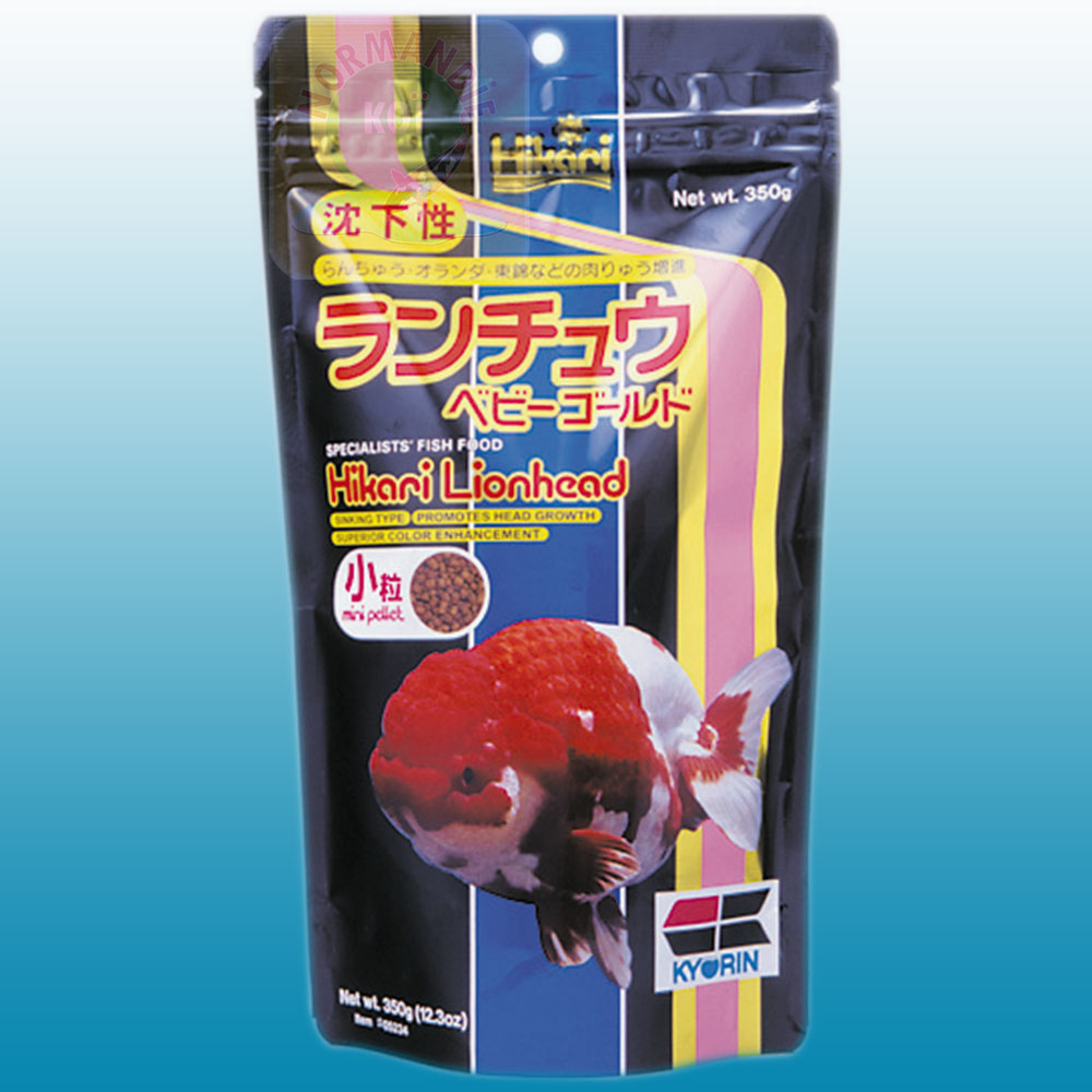 Hikari Lionhead