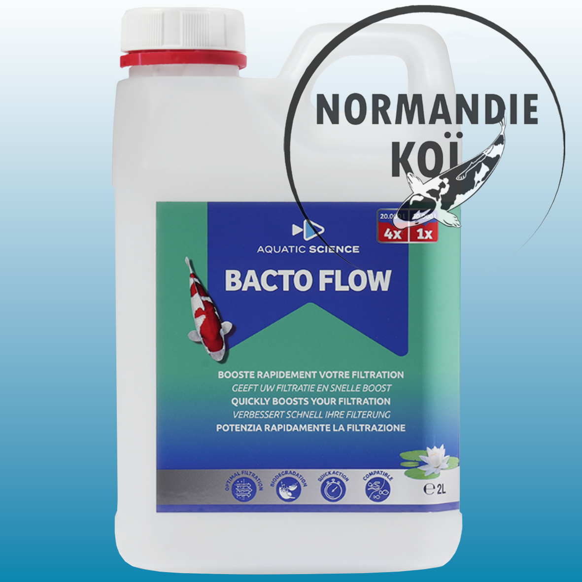 Bacto Flow – Bactéries nitrifiantes pour filtration bassin