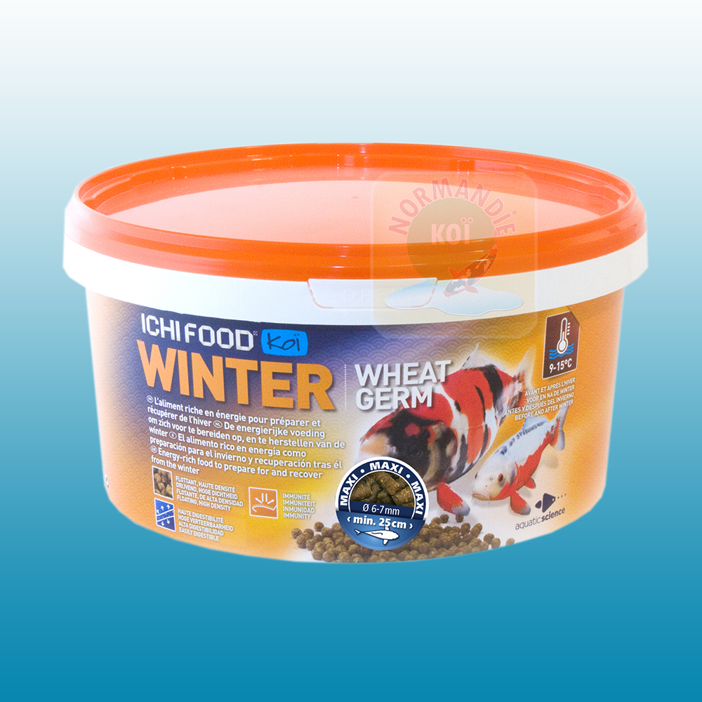 Ichi Food Winter 100% coulant !!! (dans la limite des stocks disponibles)