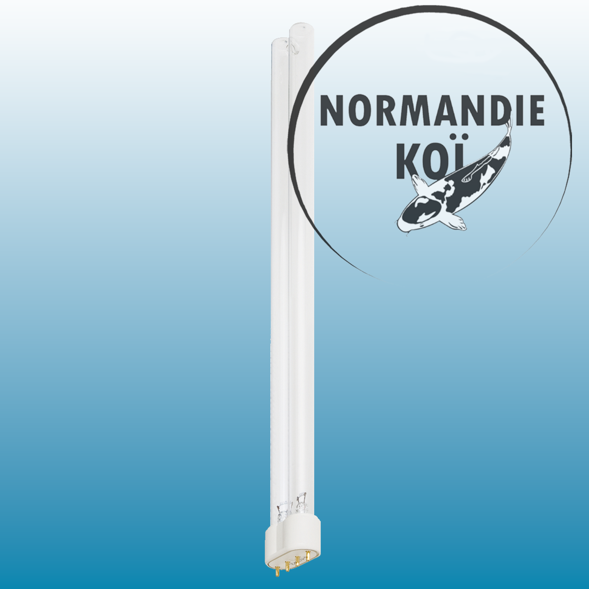 Oase Lampe UVC