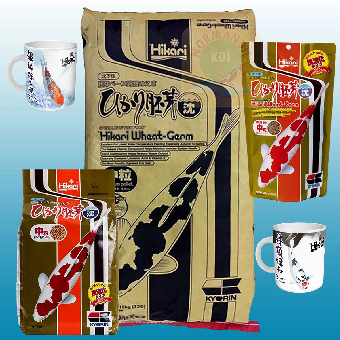 Hikari Wheat Germ Sinking