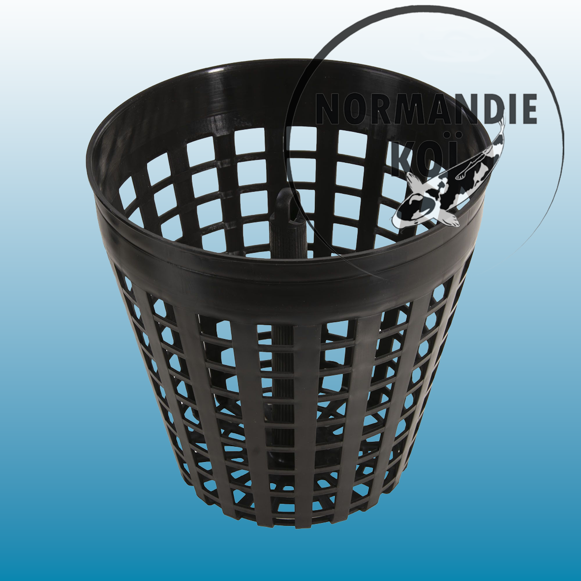 Skimmer flottant AquaForte SB278 200 mm – Ø110 mm