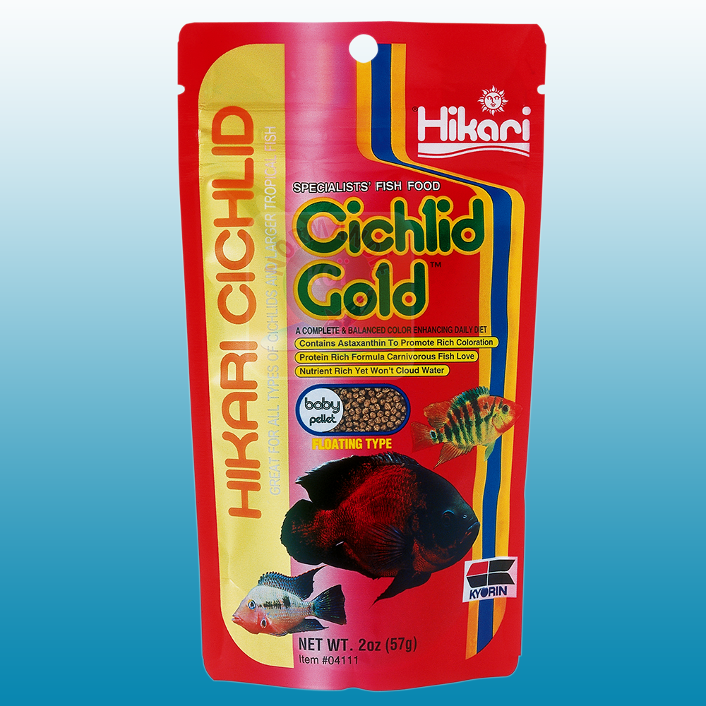 Hikari Cichlid Gold