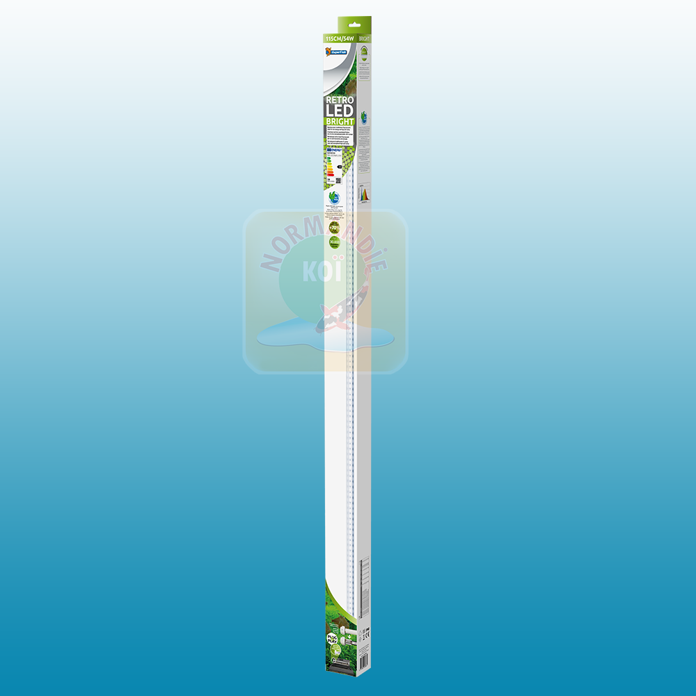 Eclairage Retro LED Bright
