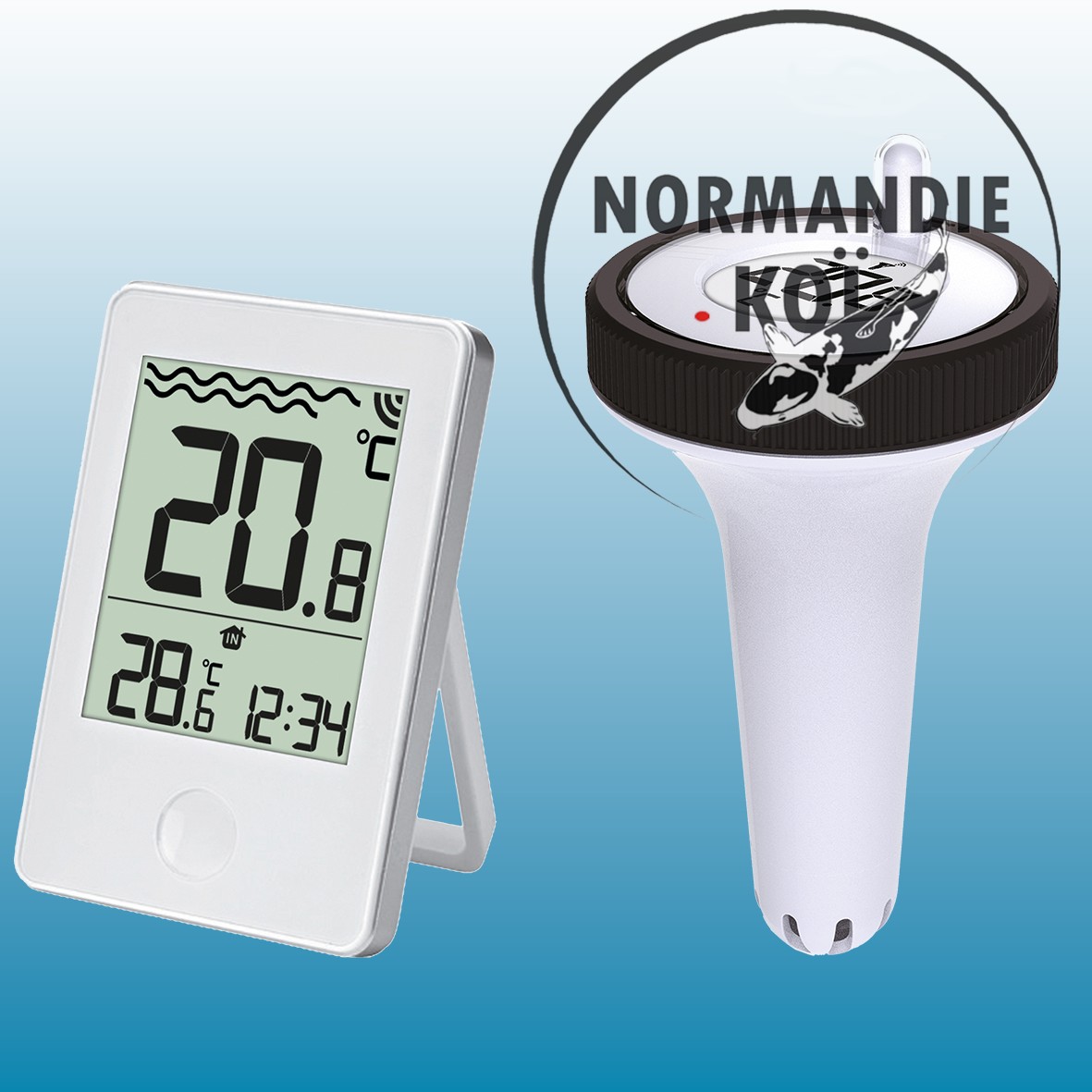 Thermomèmetre de bassin sans fil