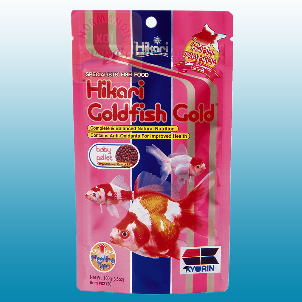 Hikari Goldfish Gold Baby