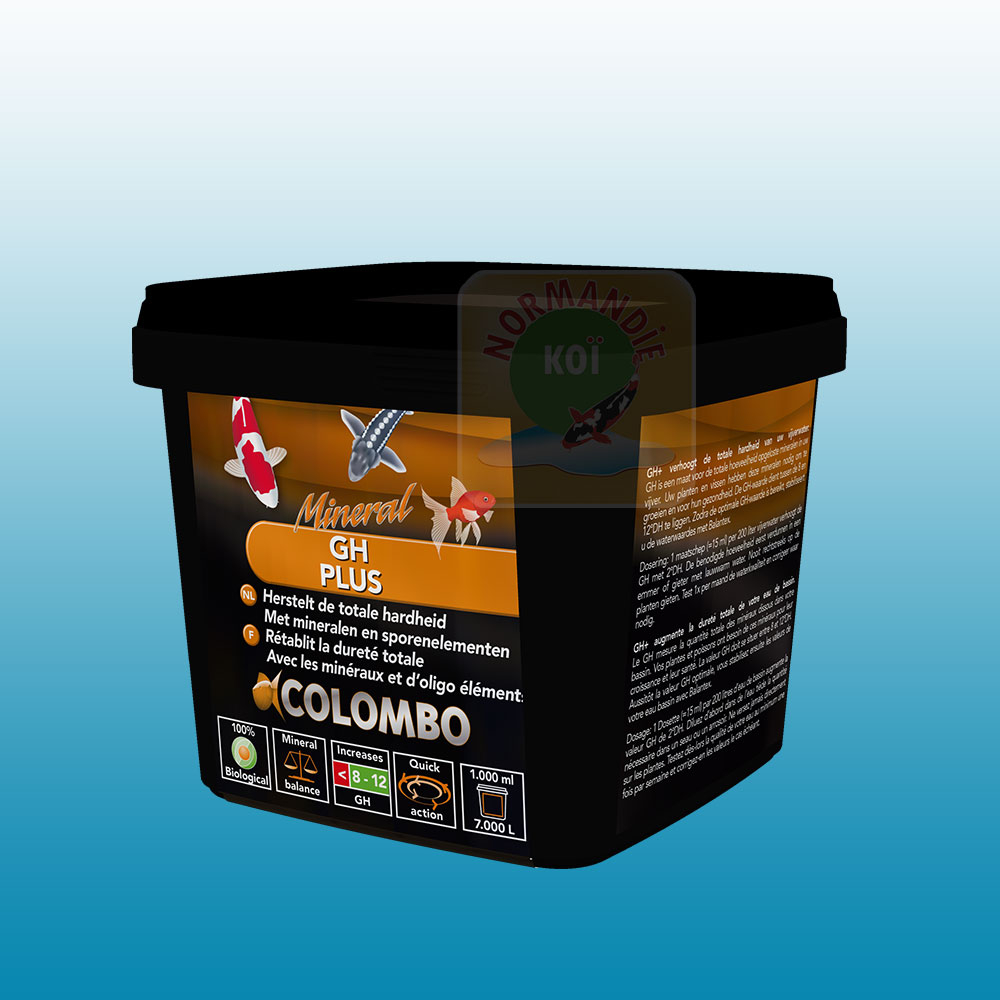 Colombo Gh+