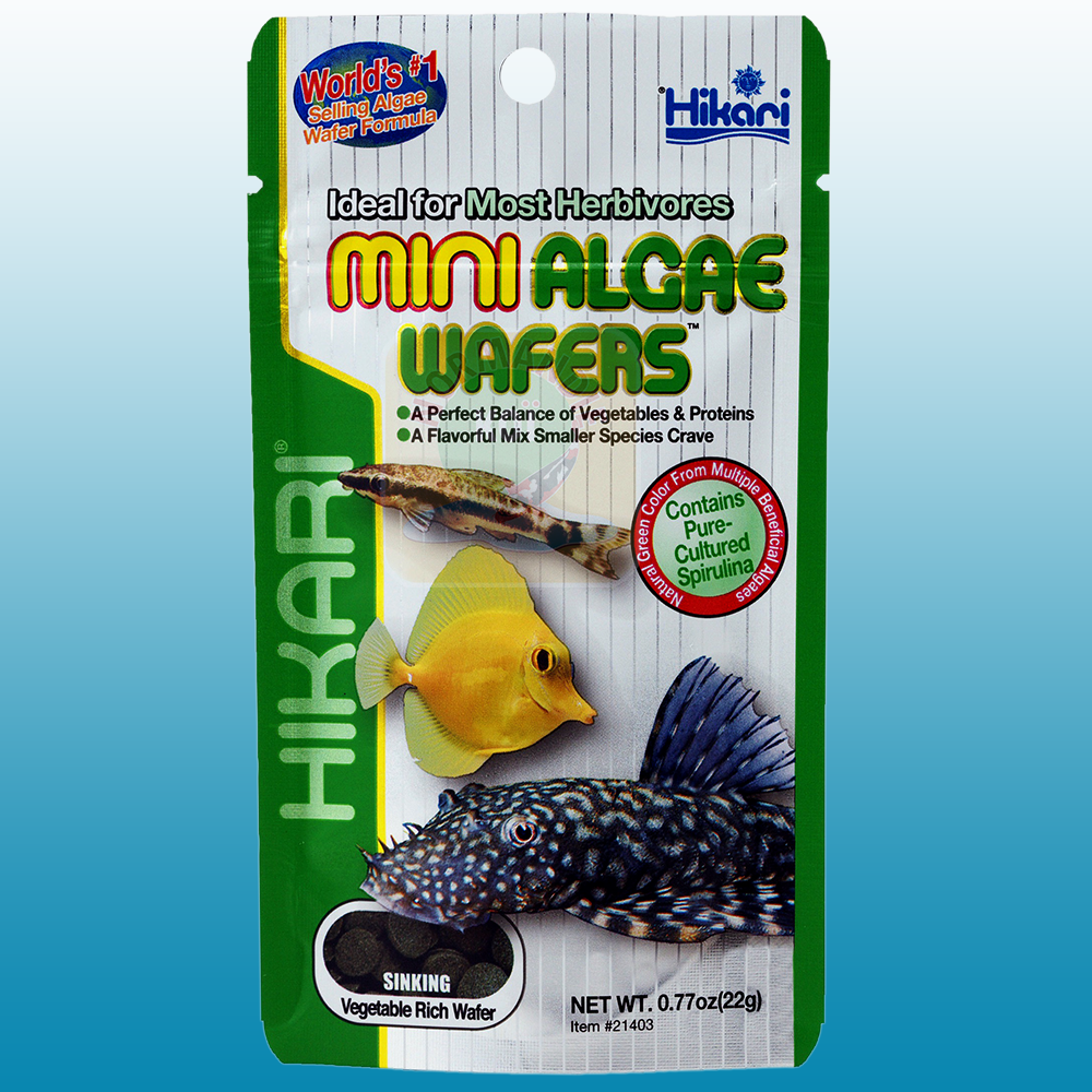 Hikari Mini Algae Wafers