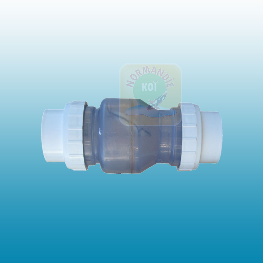 Clapet anti-retour transparent