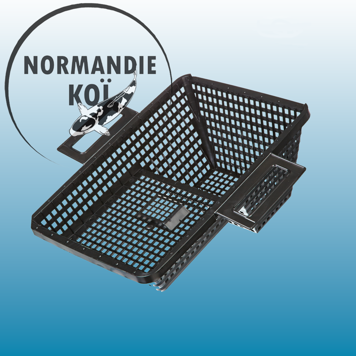 Oase BioSys Skimmer +