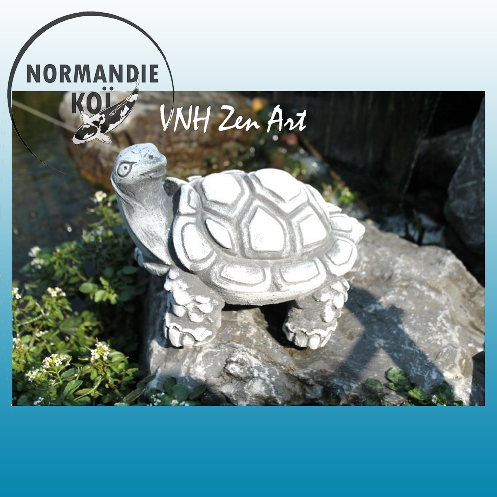 Tortue Type 4 / 3.4