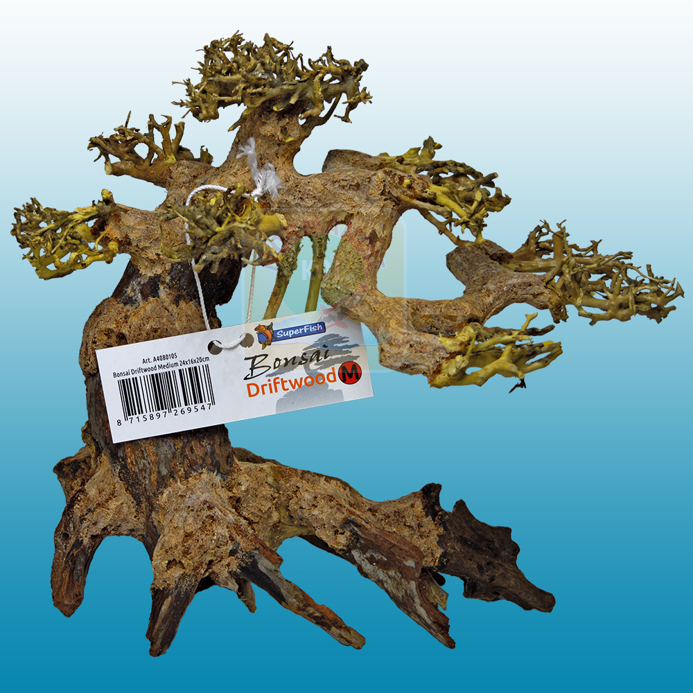 Bonsai Drift Wood