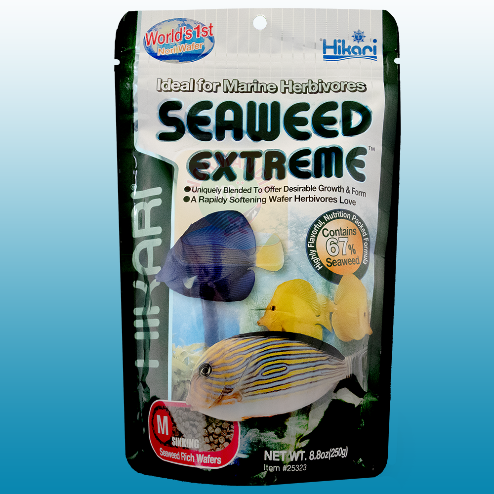 Hikari Seaweed extreme