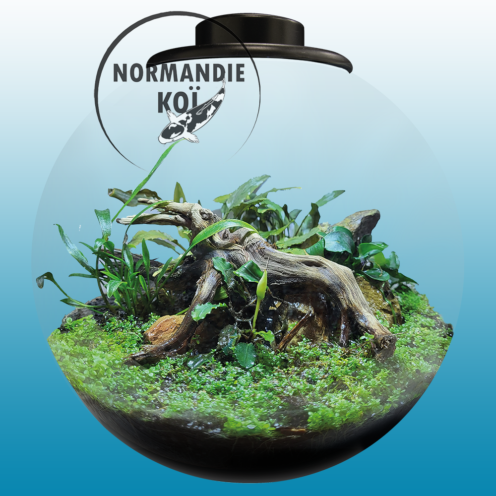 Superfish BioArt Cylindre 285
