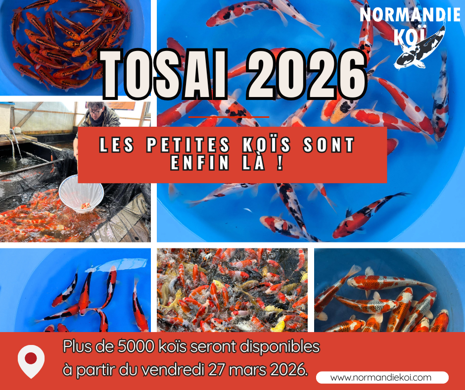 Tosai 2026 à partir du 27 mars