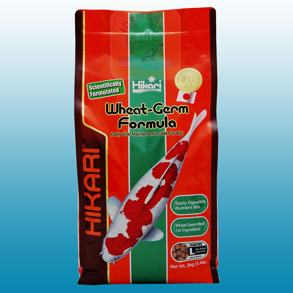 Hikari Wheat Germ