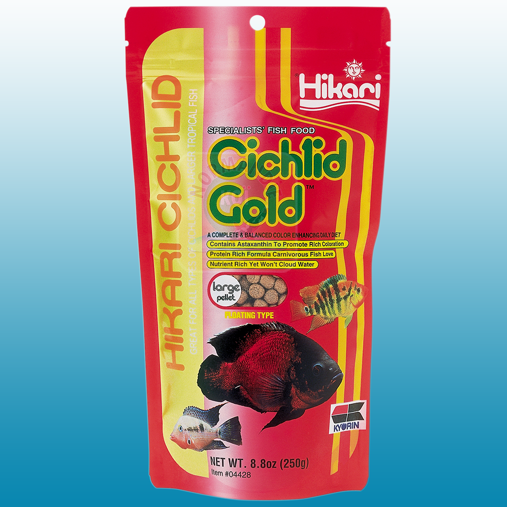 Hikari Cichlid Gold