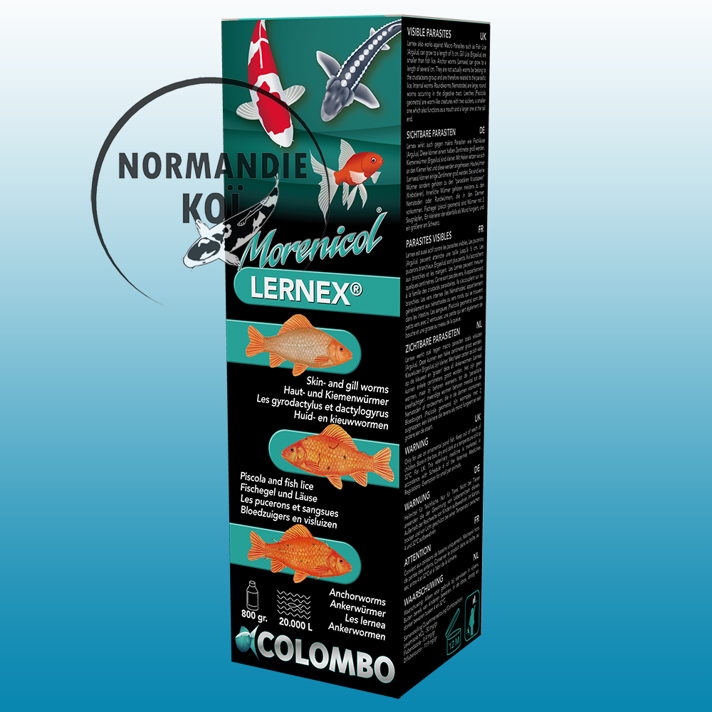 Colombo Lernex
