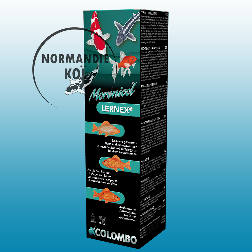 Colombo Lernex