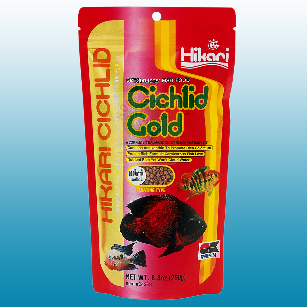 Hikari Cichlid Gold