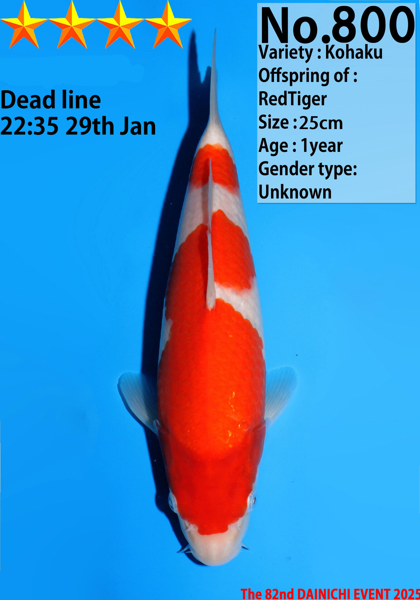 Kohaku