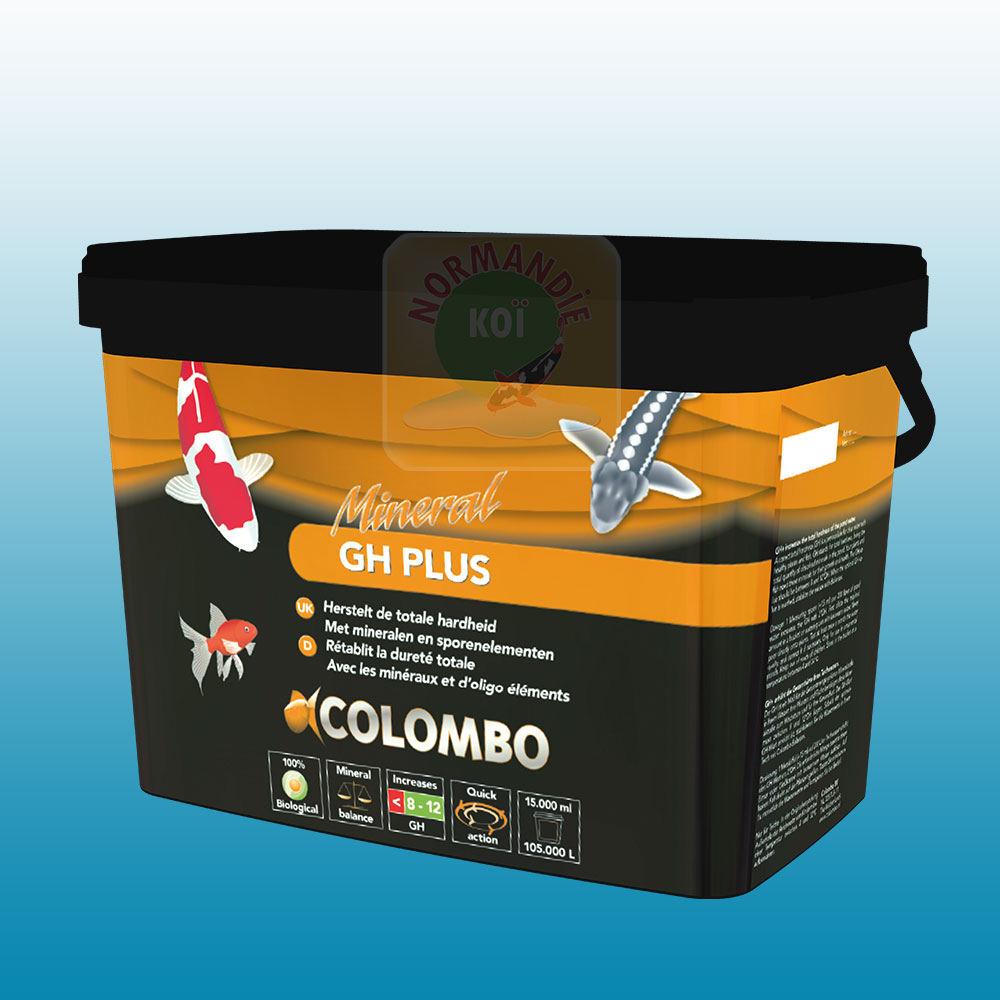 Colombo Gh+