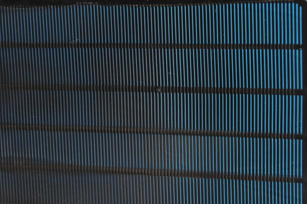 Shark sieve