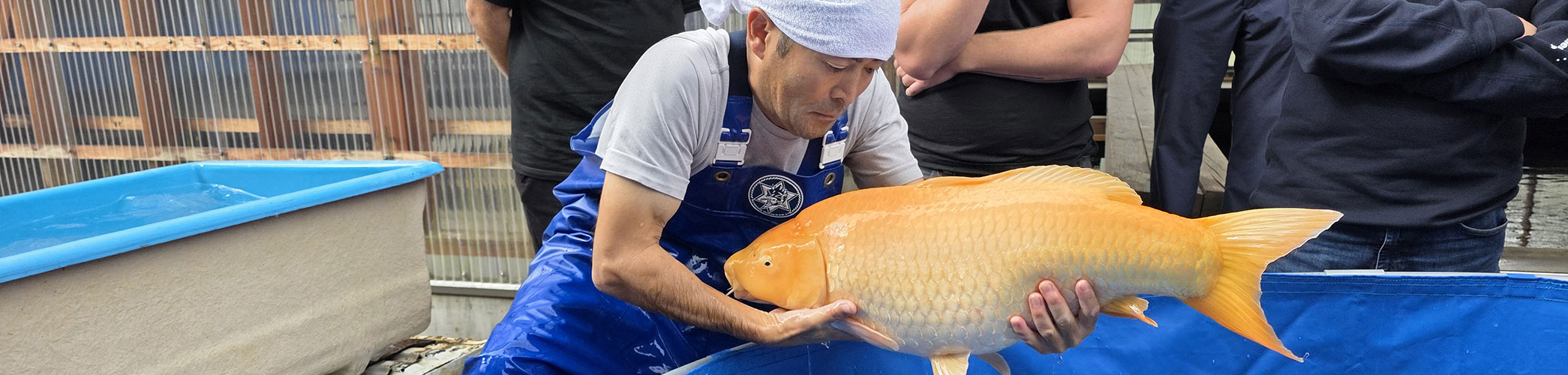 Feutres de protection: géotextile