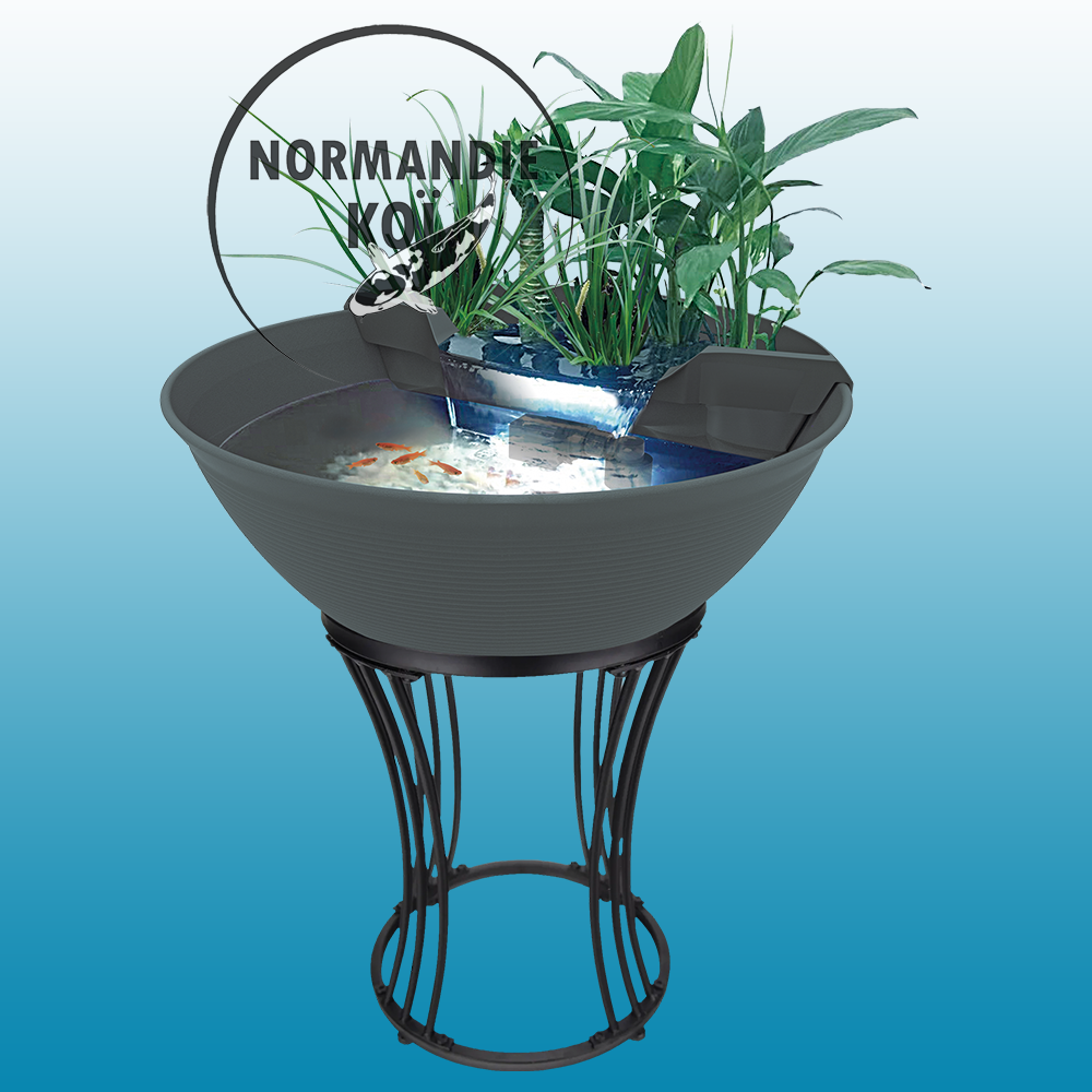 SuperFish Mini Pond