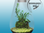 SuperFish BIO ART DROP 285