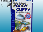Hikari Fancy Guppy