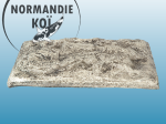 Oase BioSys Skimmer +