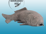 SuperFish CARP FILTER