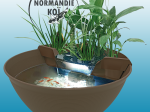 SuperFish Mini Pond