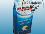 Clay 86