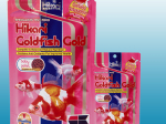 Hikari Gold Goldfish Baby.