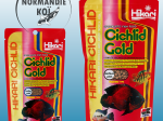 Hikari Cichlid Gold