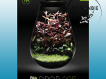 SuperFish BIO ART DROP 285
