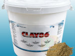 Clay 86