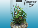 SuperFish BIO ART Cylindre 285